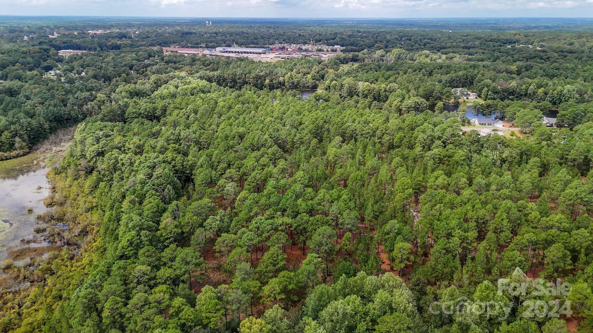 0 Raintree Road Hamlet, NC 28345 - Photo 8 of 22 Gallery Image 8