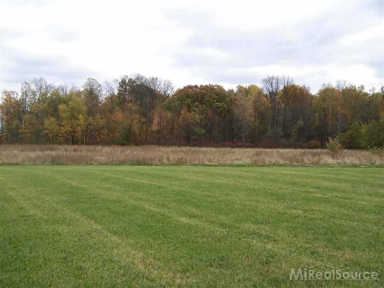 1250 Miller Road Memphis, MI 48041 - Photo 22 of 23 31180515-21.JPG
