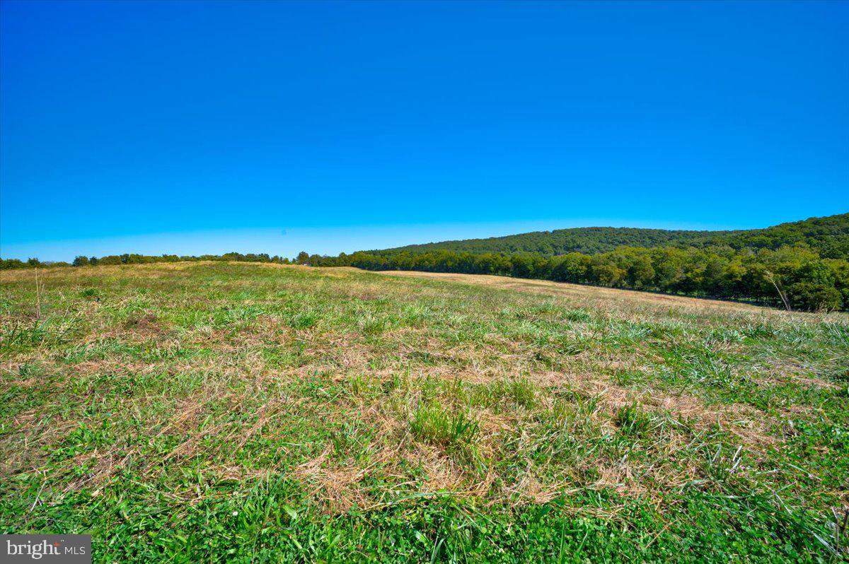 4800 Churchey Road Keedysville, MD 21756 - Photo 23 of 58 Gallery Image 23