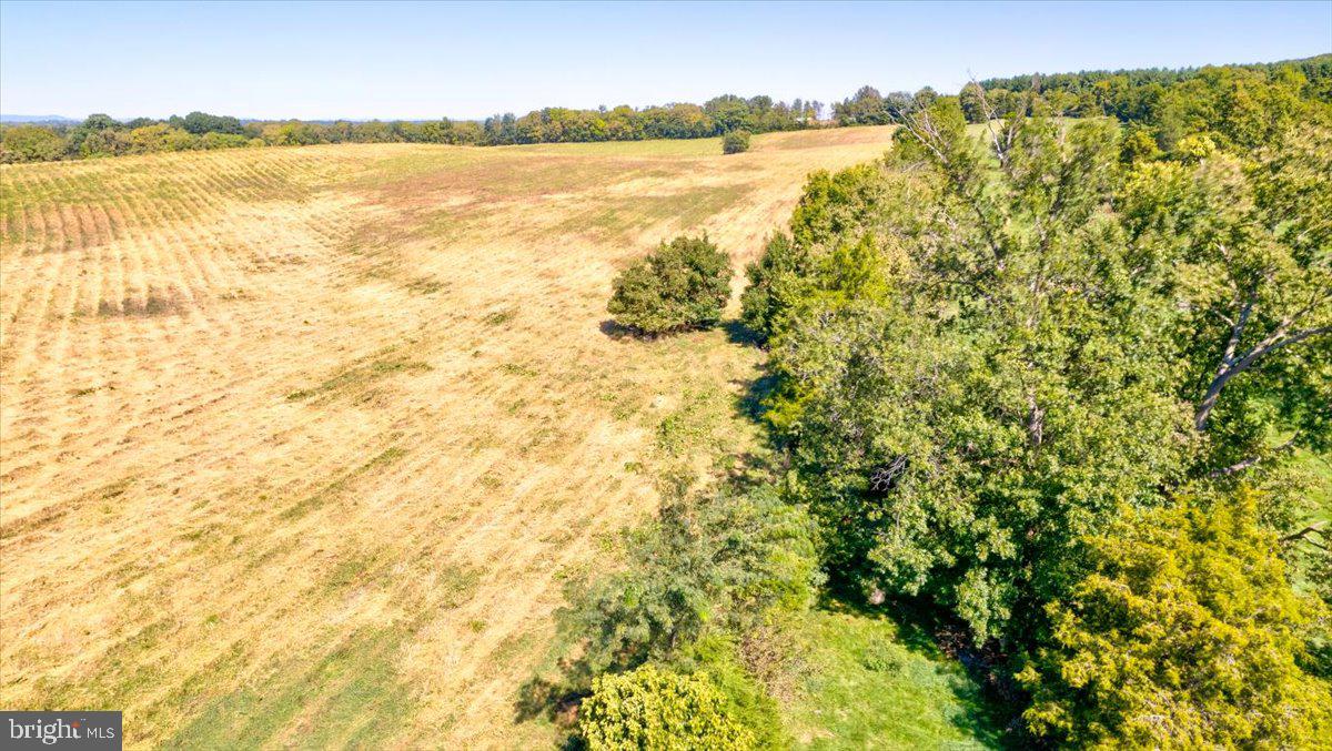 4800 Churchey Road Keedysville, MD 21756 - Photo 8 of 58 Gallery Image 8