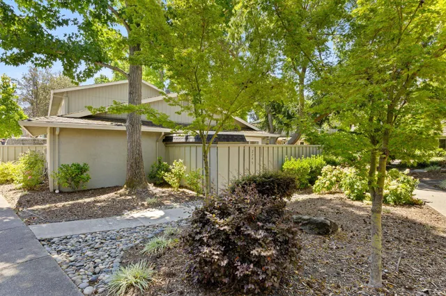 a view of a backyard with plants and a large tree