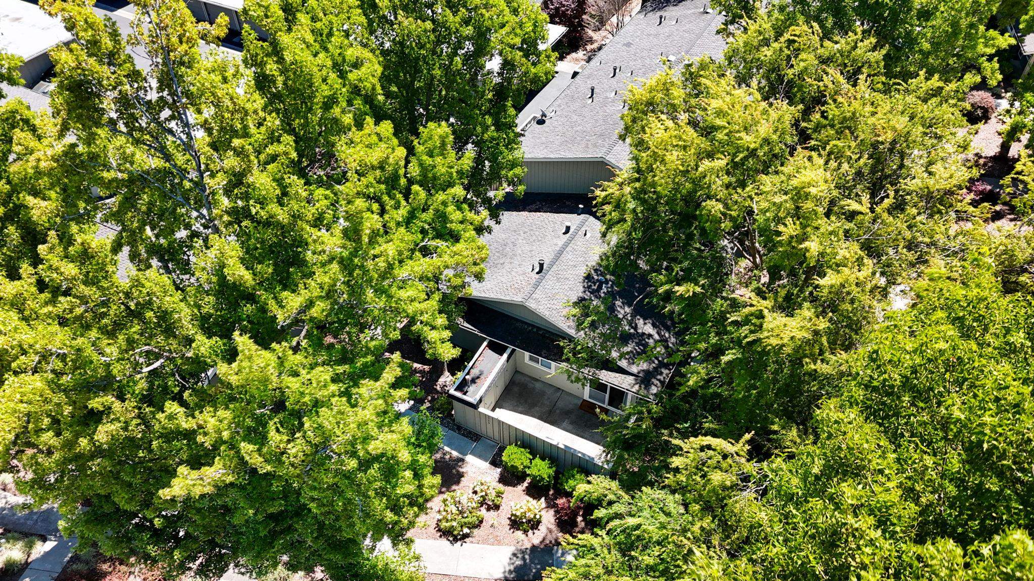 2749 Fountainhead Drive San Ramon, CA 94583 - Photo 9 of 30