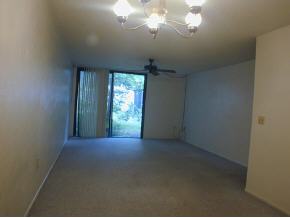 613 Southwest 75th Street Gainesville, FL 32607 - Photo 5 of 5