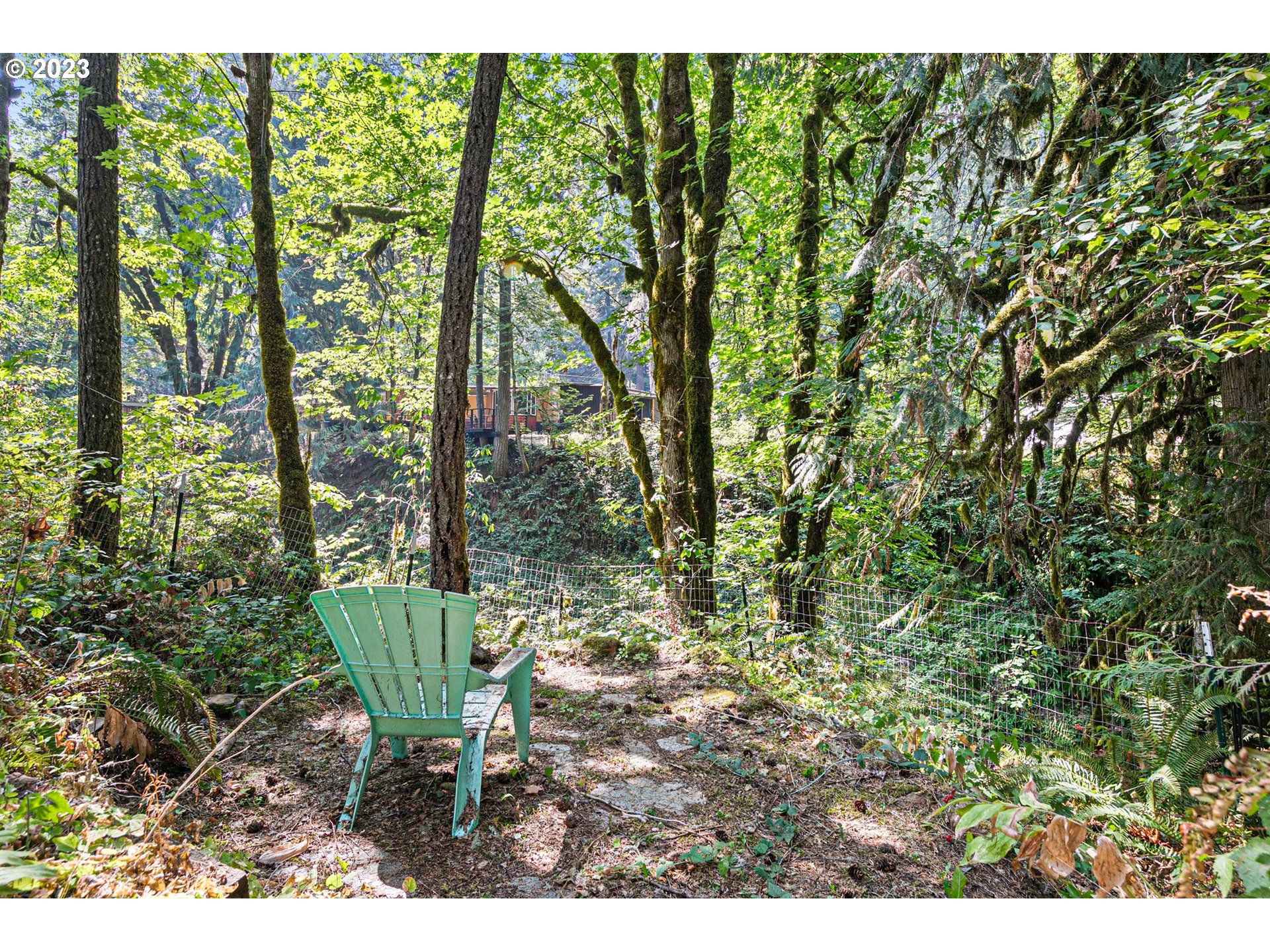 39895 Deerhorn Road Springfield, OR 97478 - Photo 38 of 46 a view of outdoor space and yard
