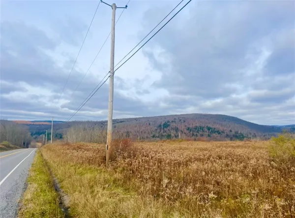 $95,000 | 0 County Road 42, South Otselic, NY 13155