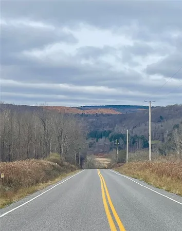 $95,000 | 0 County Road 42, South Otselic, NY 13155