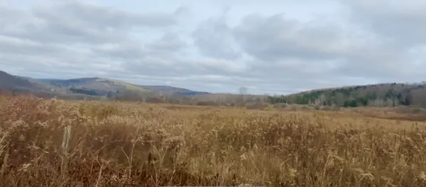 $95,000 | 0 County Road 42, South Otselic, NY 13155