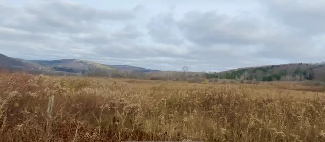 $95,000 | 0 County Road 42, South Otselic, NY 13155