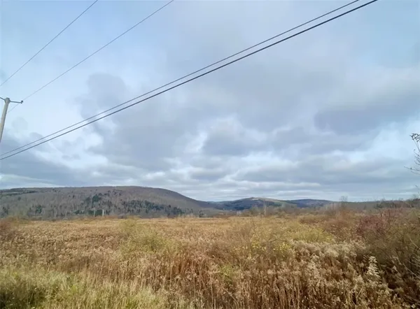 $95,000 | 0 County Road 42, South Otselic, NY 13155