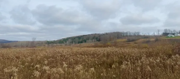 $95,000 | 0 County Road 42, South Otselic, NY 13155