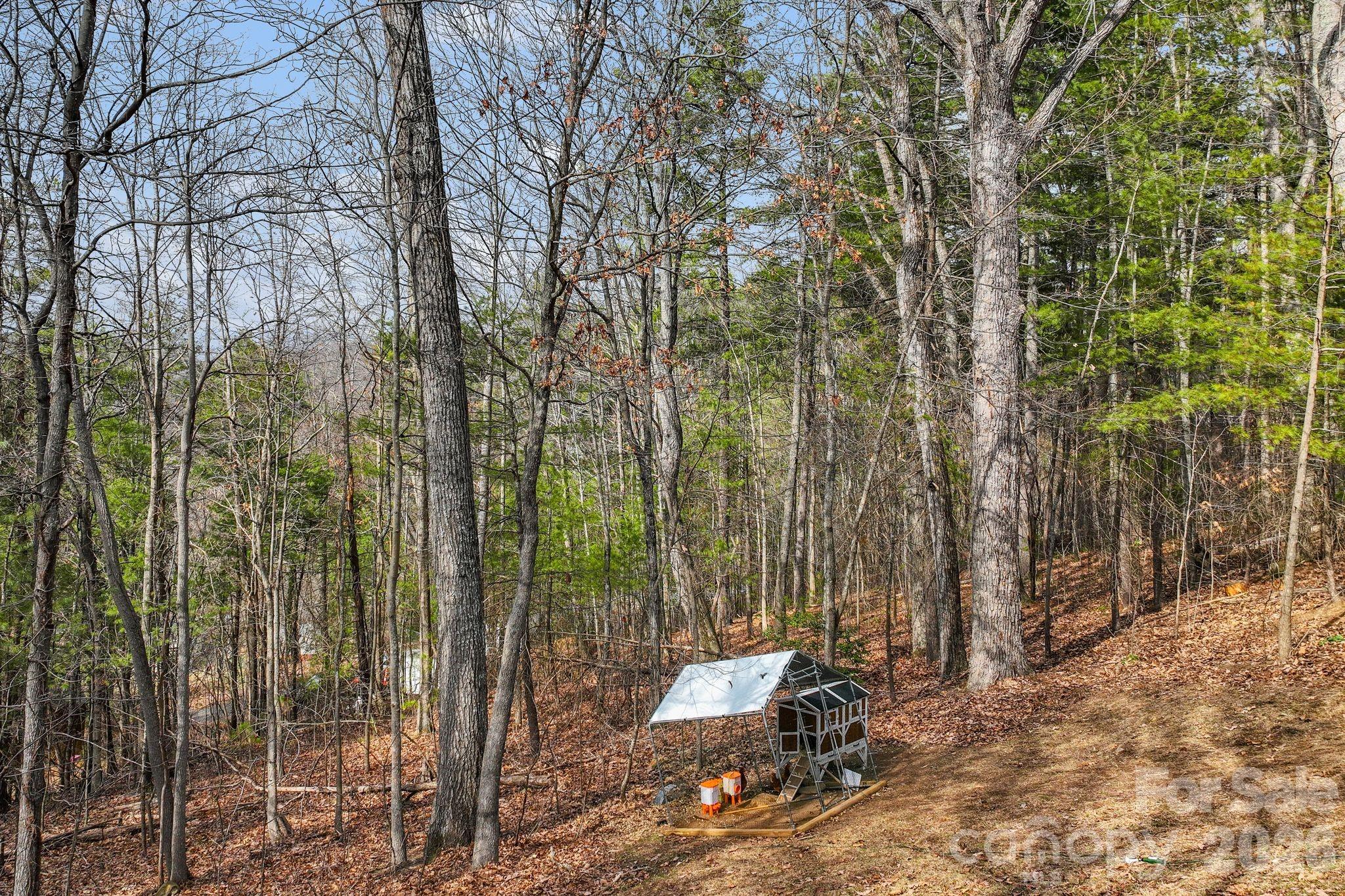 505 Kings Ridge Asheville, NC 28804 - Photo 37 of 44
