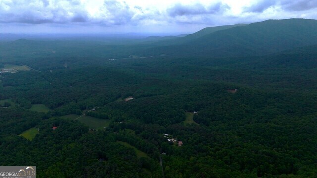 0 Nocona Trail Ellijay, GA 30536 - Photo 11 of 18