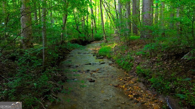 0 Nocona Trail Ellijay, GA 30536 - Photo 12 of 18 a view of a lush green forest