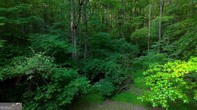 0 Nocona Trail Ellijay, GA 30536 - Photo 13 of 18 a view of a lush green forest