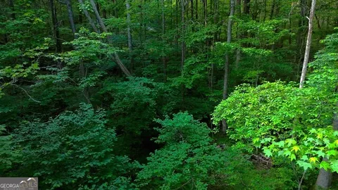a view of outdoor space and trees