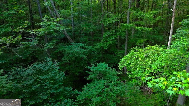 0 Nocona Trail Ellijay, GA 30536 - Photo 14 of 18 a view of a lush green forest with lots of trees