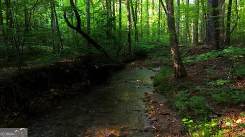 a view of a lush green hillside and a mountain
