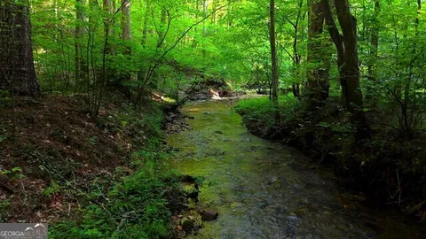 a view of a large yard with lots of green space