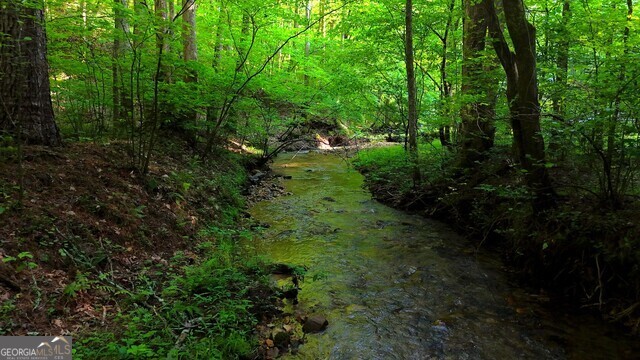 0 Nocona Trail Ellijay, GA 30536 - Photo 16 of 18 a view of outdoor space and trees