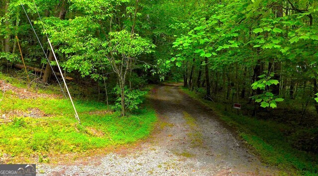 0 Nocona Trail Ellijay, GA 30536 - Photo 5 of 18 a view of a backyard with plants