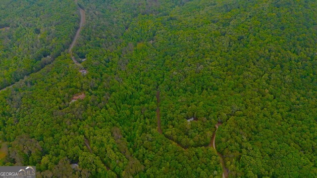 0 Nocona Trail Ellijay, GA 30536 - Photo 7 of 18 a view of a lush green forest
