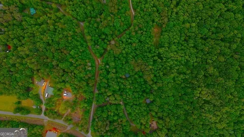 a view of a lush green space