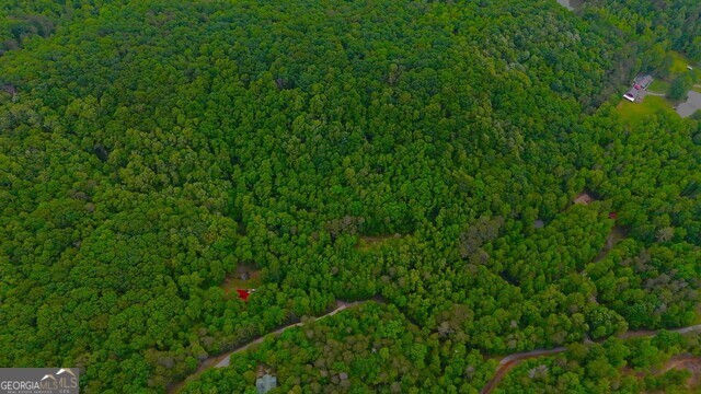 0 Nocona Trail Ellijay, GA 30536 - Photo 9 of 18 a view of a lush green space