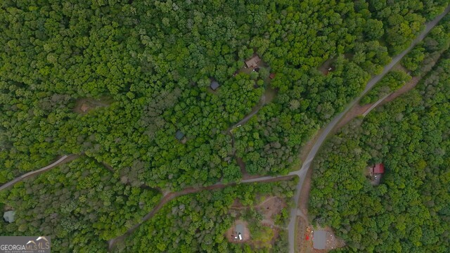 0 Nocona Trail Ellijay, GA 30536 - Photo 10 of 18 a view of a yard with a tree