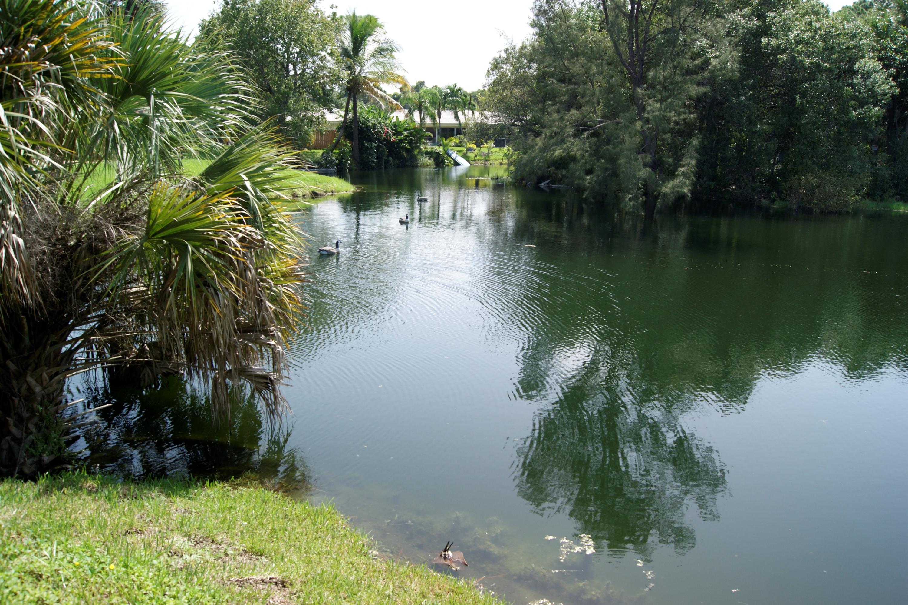 0 East Conference Drive Boca Raton, FL 33486 - Photo 10 of 10 Lake View