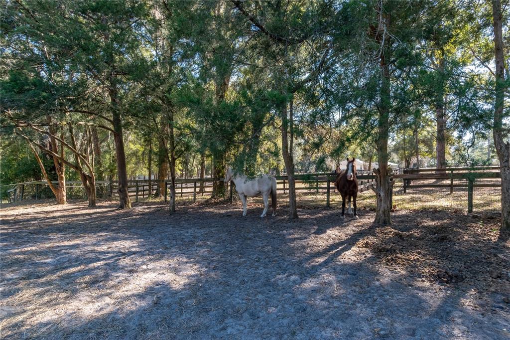 26 Wood Ridge Drive Ocala, FL 34482 - Photo 42 of 54