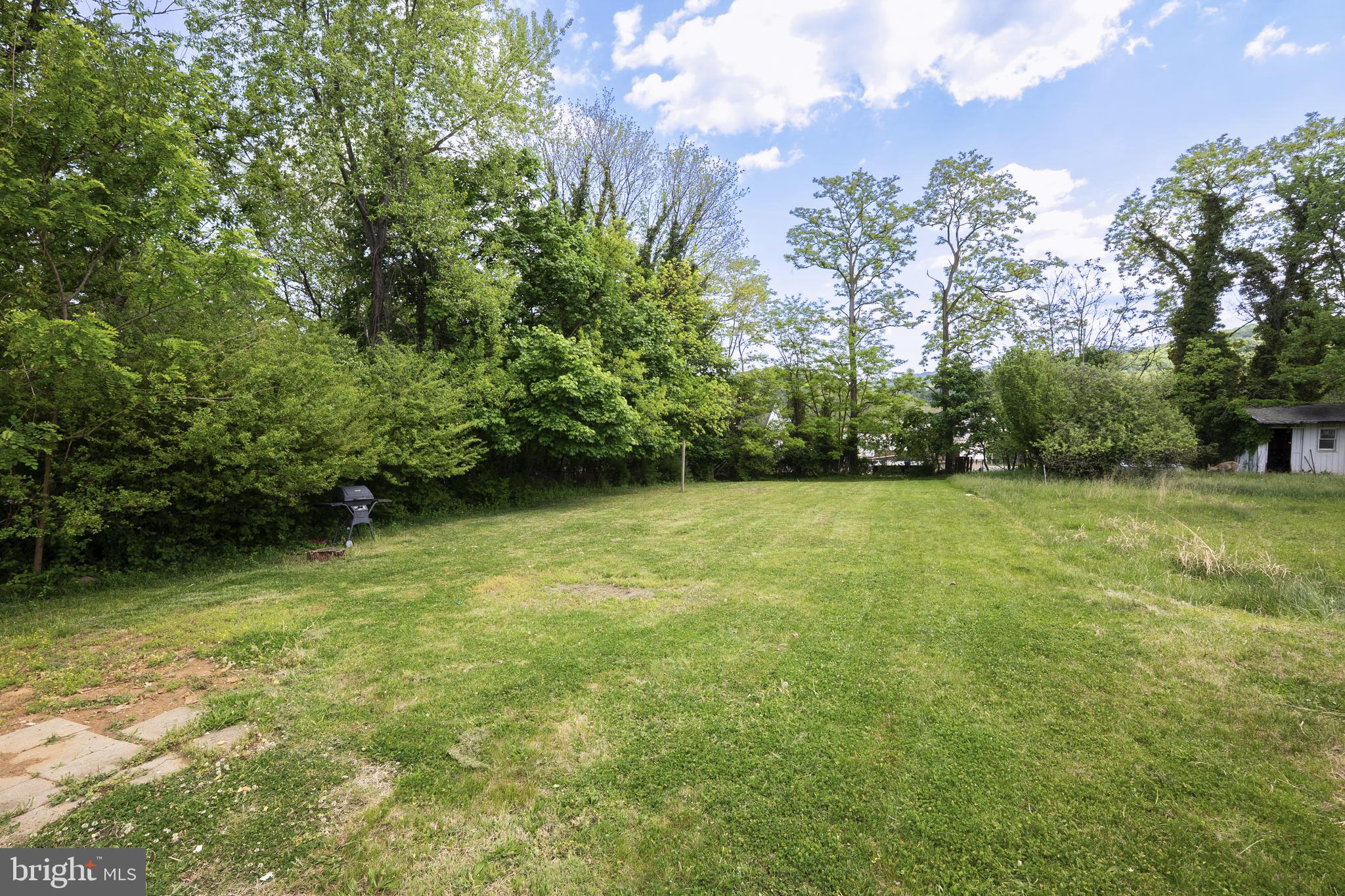 452 Acton Street Front Royal, VA 22630 - Photo 26 of 44 a view of a yard with a trees