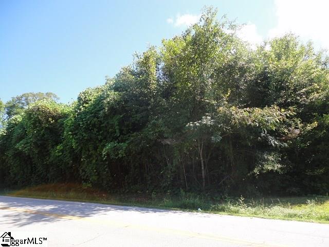 0 Trotter Road Pickens, SC 29671 - Photo 1 of 3