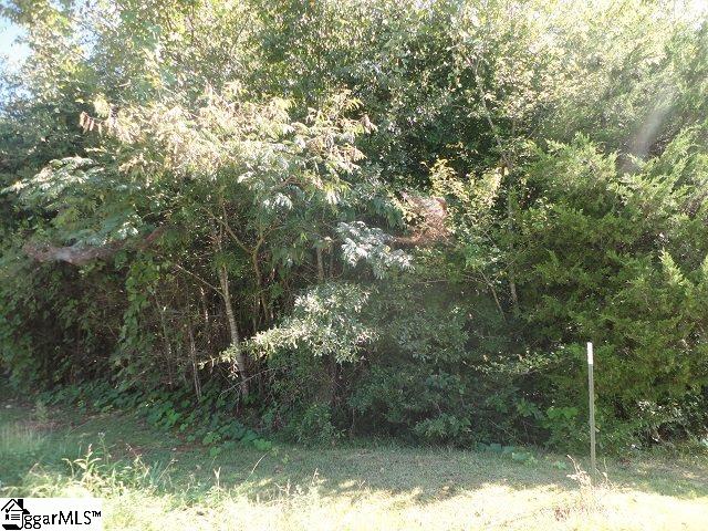 0 Trotter Road Pickens, SC 29671 - Photo 3 of 3