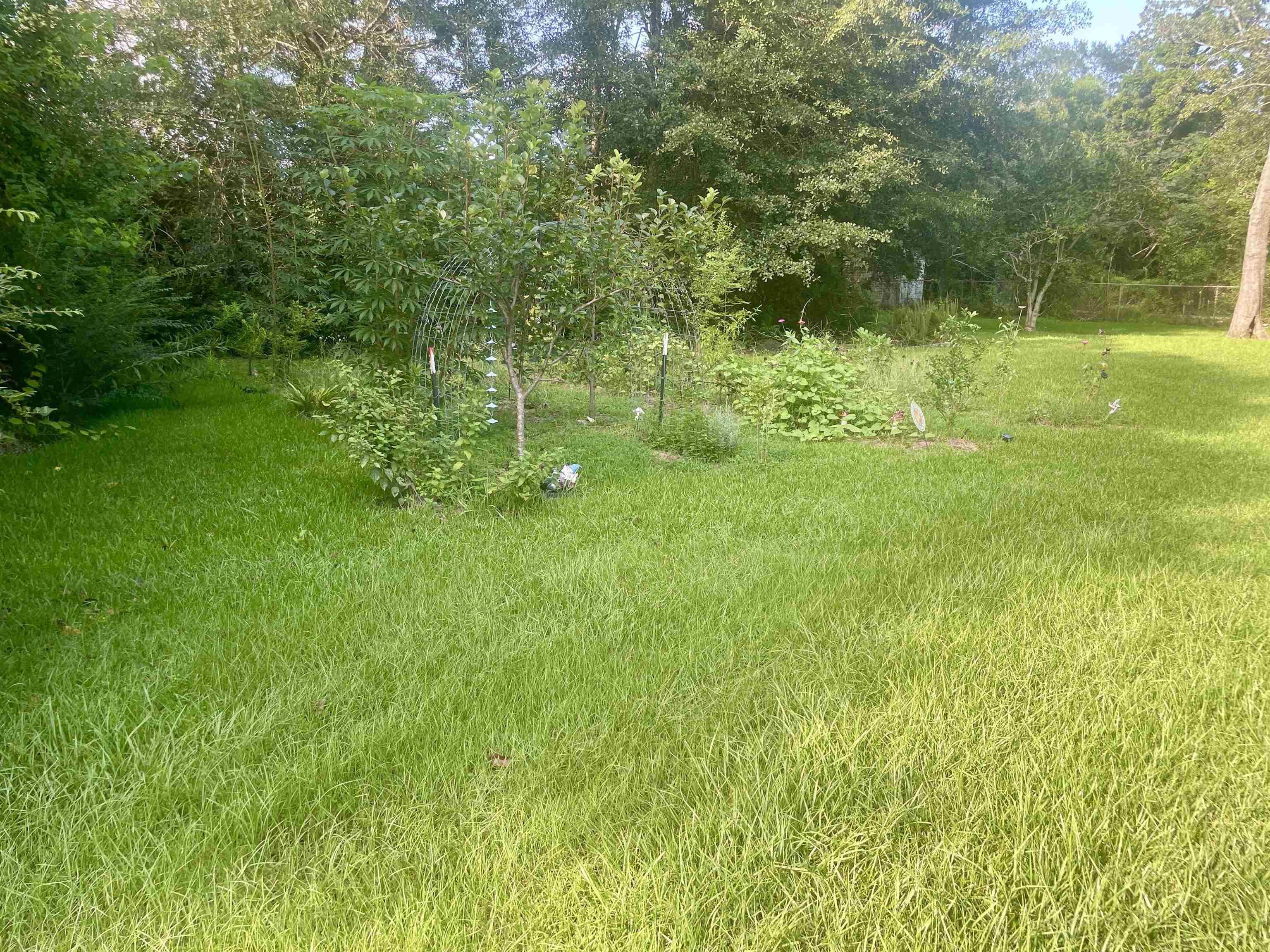 325 East Horner Street Atmore, AL 36502 - Photo 16 of 20 Yard