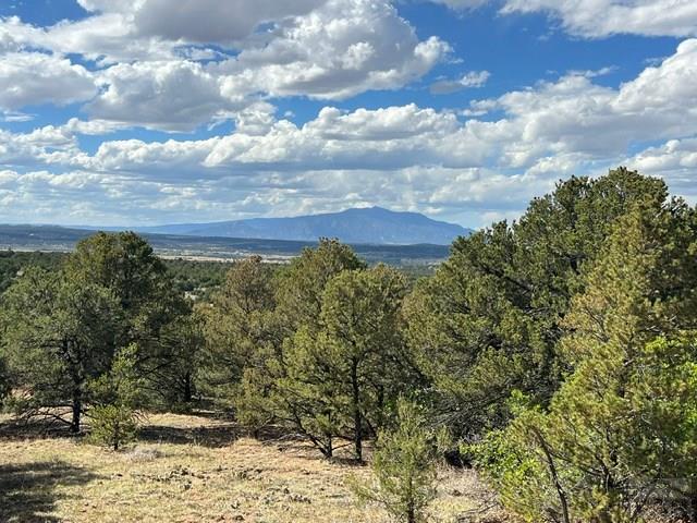 96 River Ridge Trail Walsenburg, CO 81089 - Photo 5 of 28