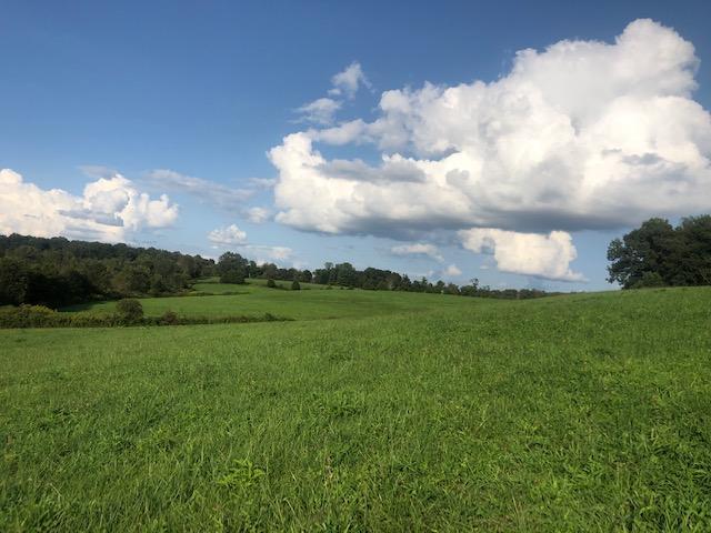 375 Floyd Road Eubank, KY 42567 - Photo 11 of 16 IMG_4255