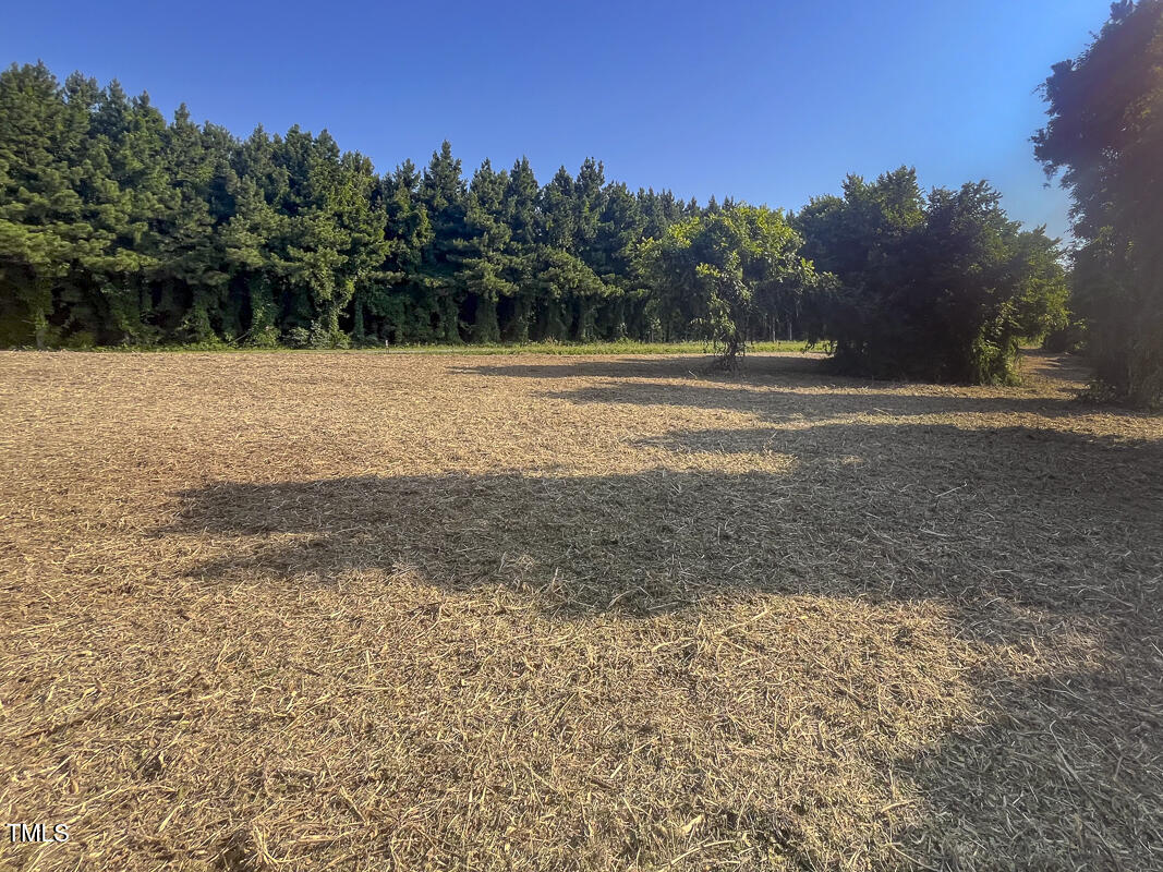 Lot-5 Goodman Road Pelham, NC 27311 - Photo 6 of 35 Caswell Co. NC 7.365-Skyview-Lot 5-06