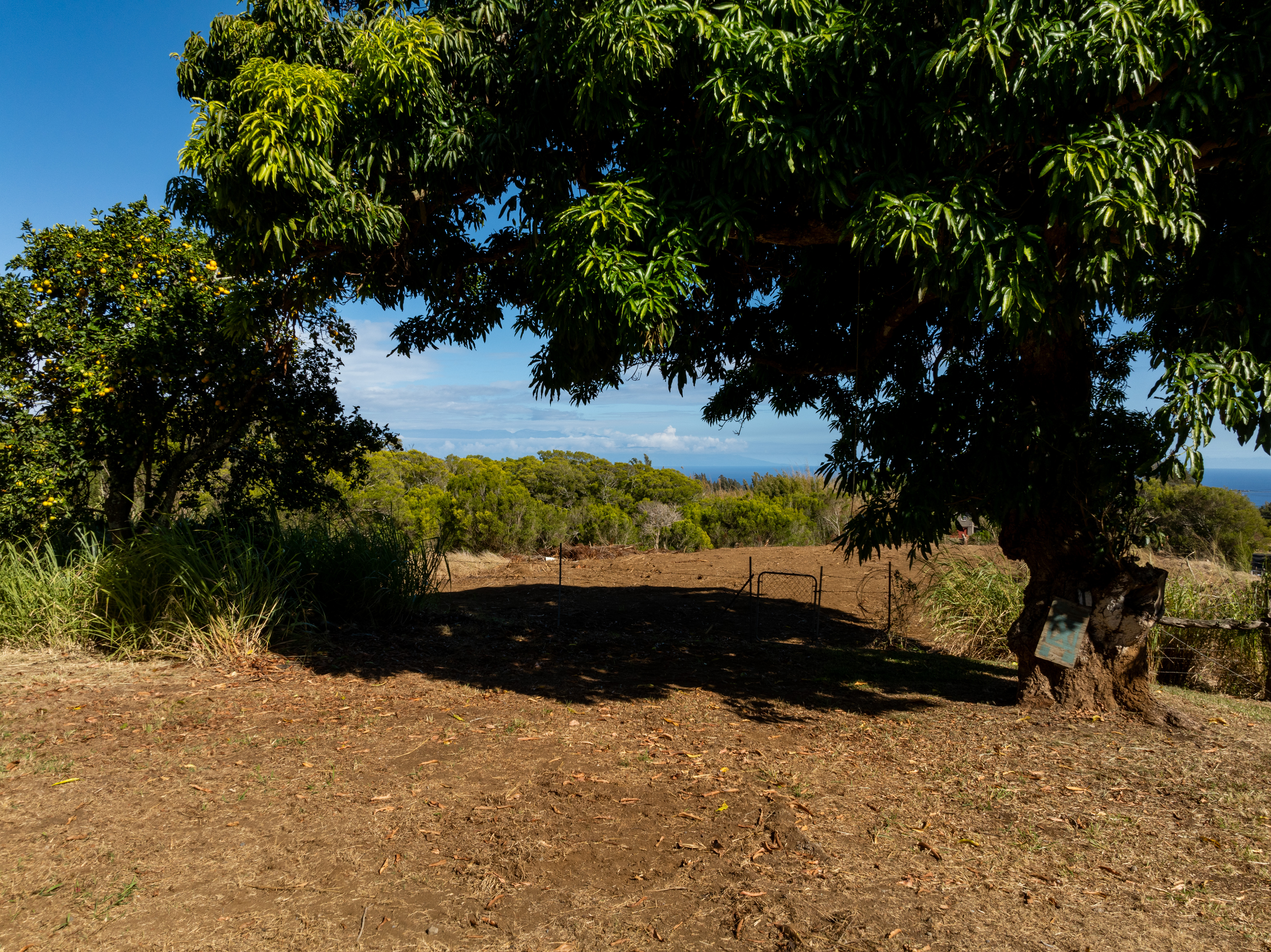 55-680 Hawi Road Hawi, HI 96719 - Photo 16 of 30 a view of swimming pool from a lake view