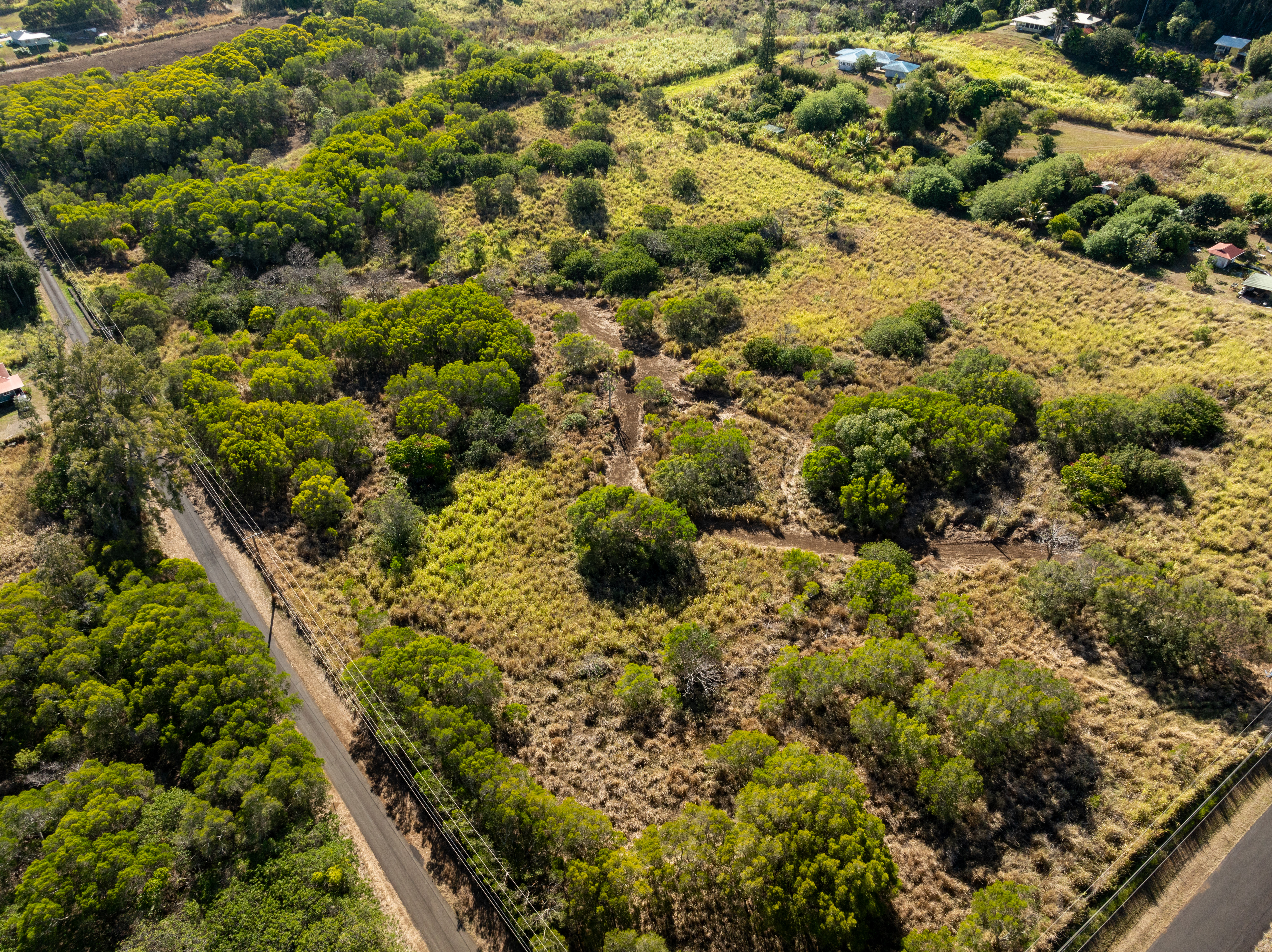 55-680 Hawi Road Hawi, HI 96719 - Photo 18 of 30 a view of a bunch of trees and houses