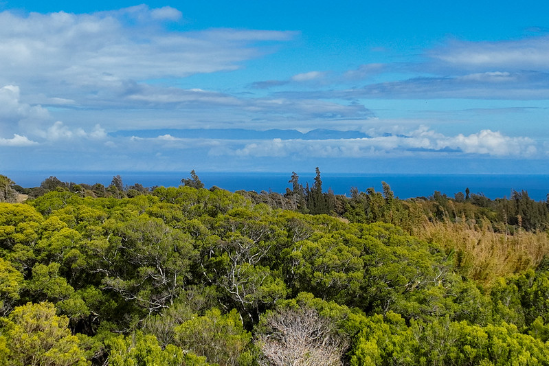 55-680 Hawi Road Hawi, HI 96719 - Photo 5 of 30 a view of a large body of water with lots of green space