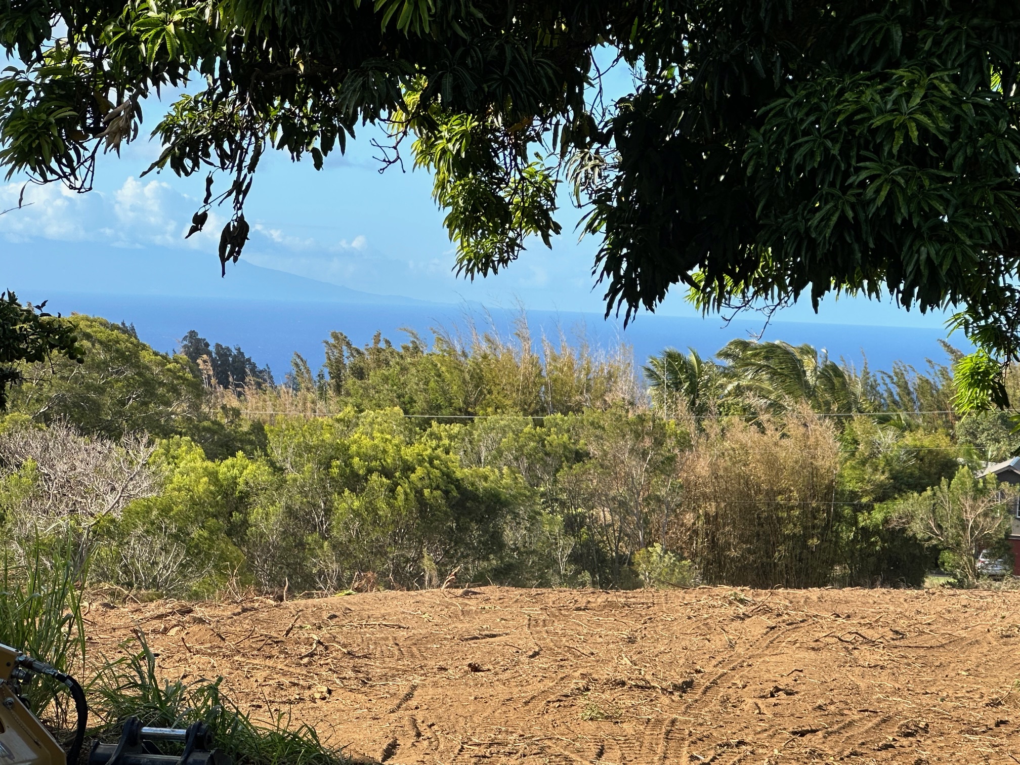 55-680 Hawi Road Hawi, HI 96719 - Photo 7 of 30 a view of snow yard