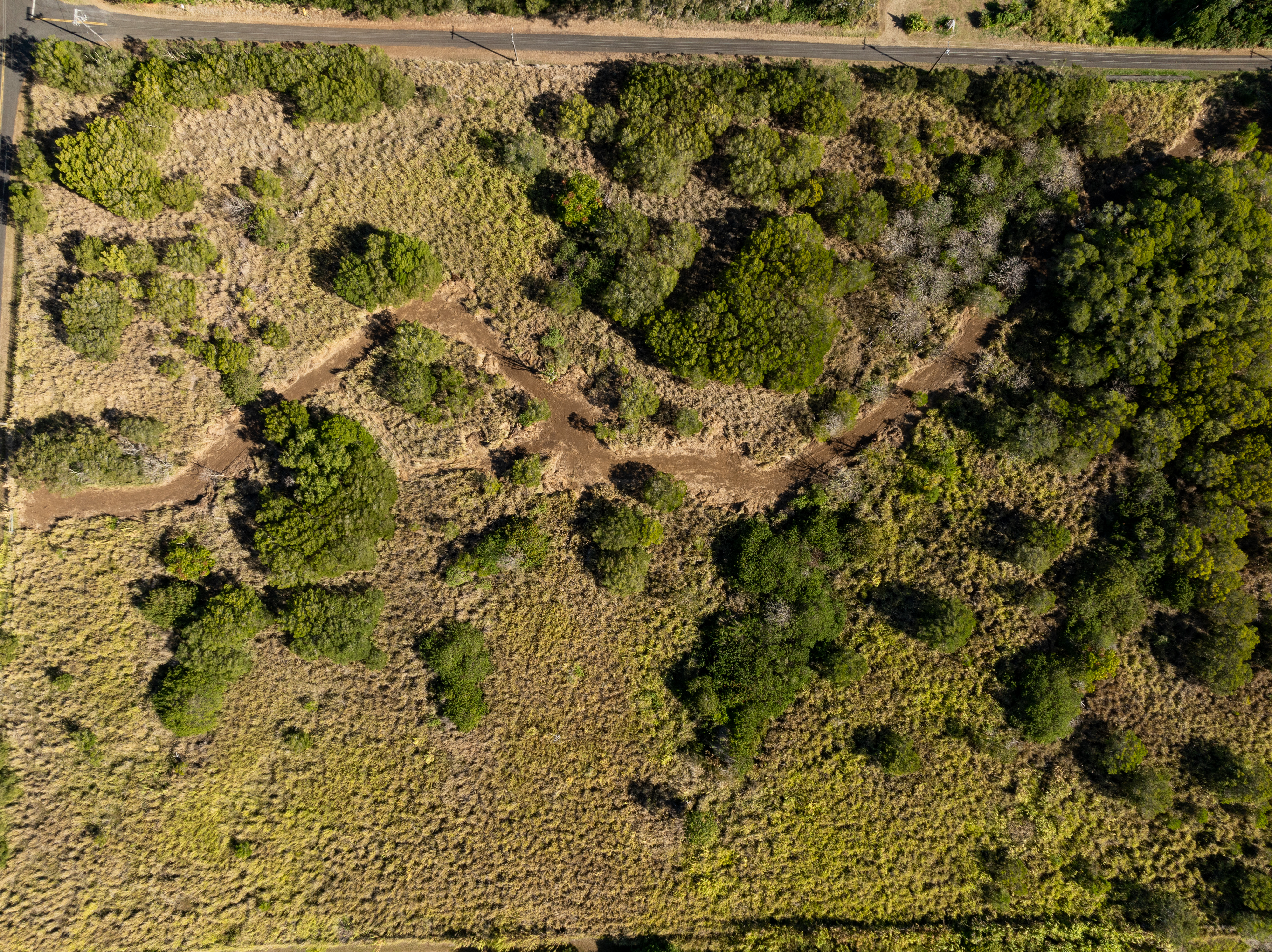 55-680 Hawi Road Hawi, HI 96719 - Photo 9 of 30 a view of a yard
