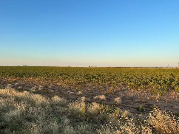 $65,000 | 7 East County Road 5400, Lubbock, TX 79403