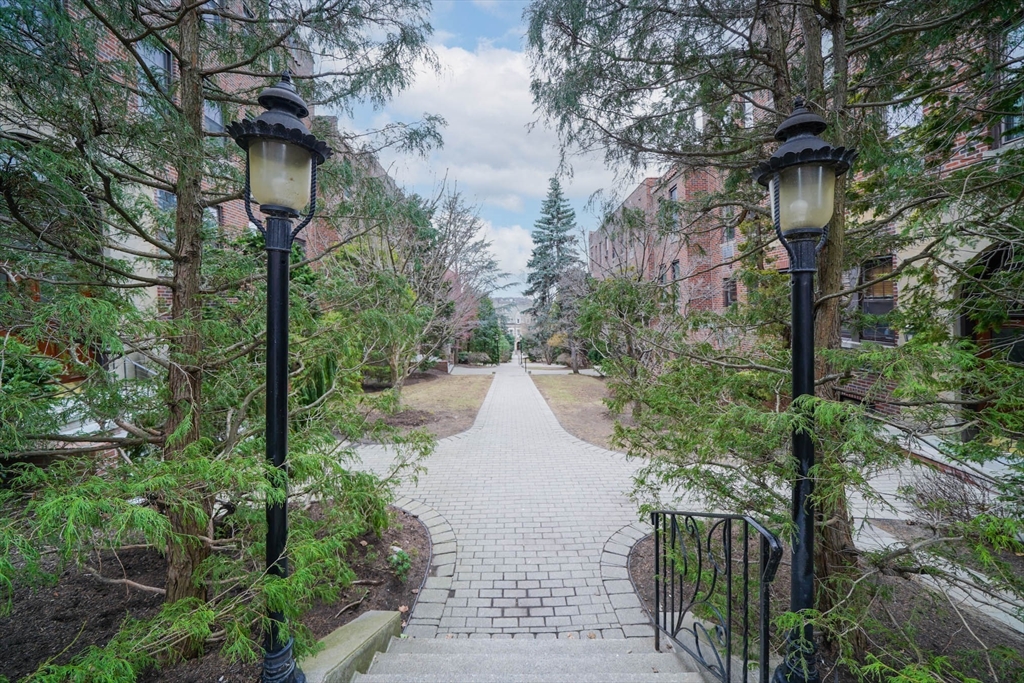 311 Tappan Street, Unit 3 Brookline, MA 02445 - Photo 2 of 35 a view of a pathway both side of house