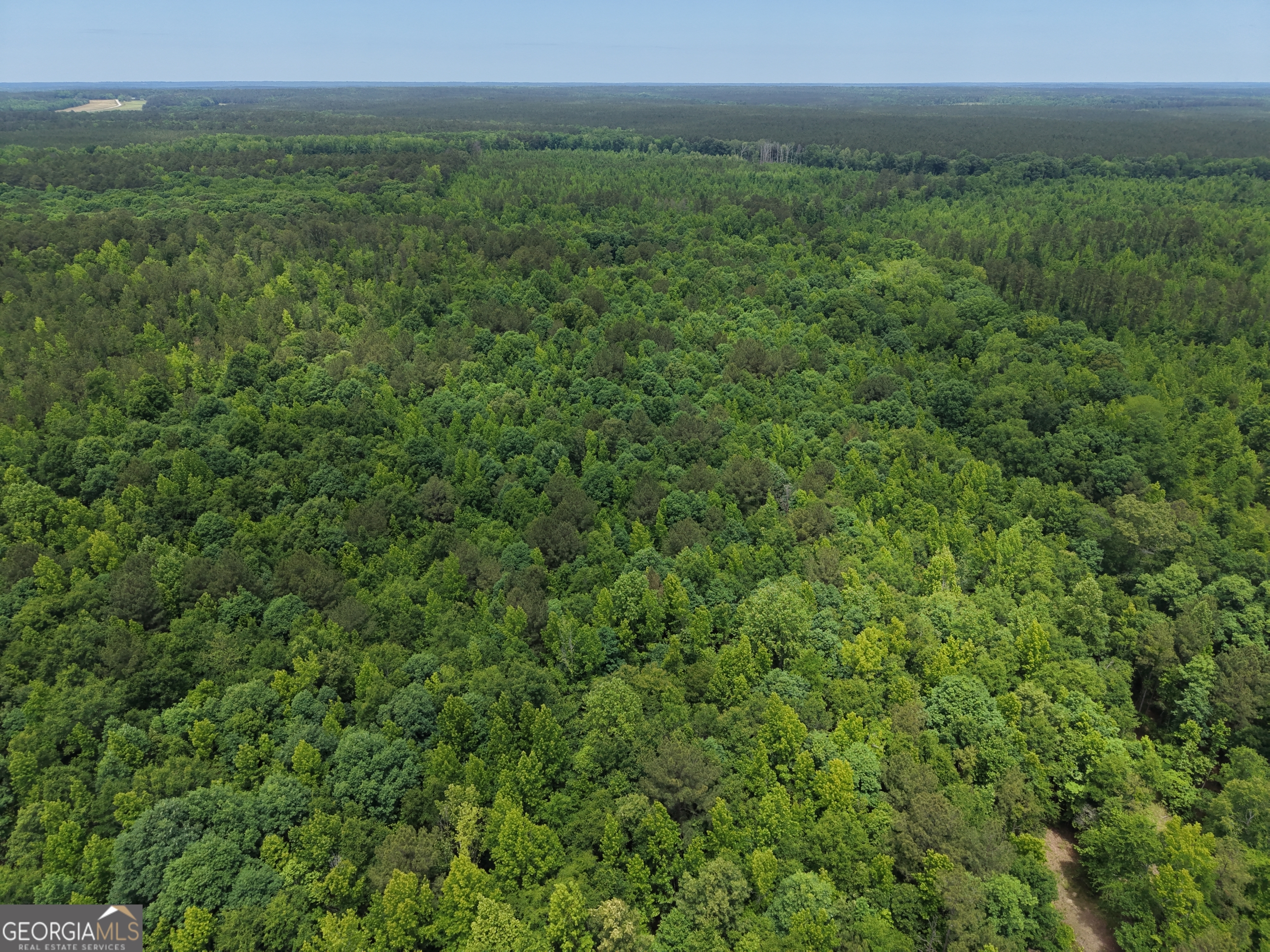 715 Fulsome Creek Road Sparta, GA 31087 - Photo 27 of 117