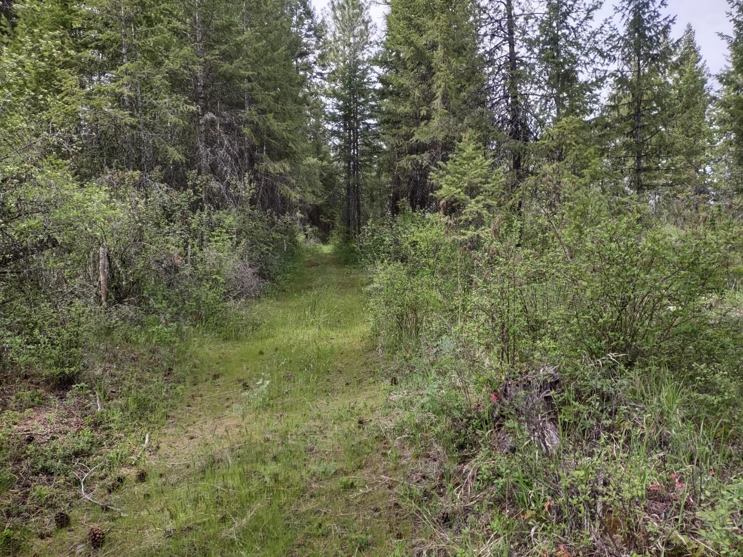 X West Jump Off Road, Unit LOT 1 61 45 ACRES Valley, WA 99181 - Photo 4 of 10