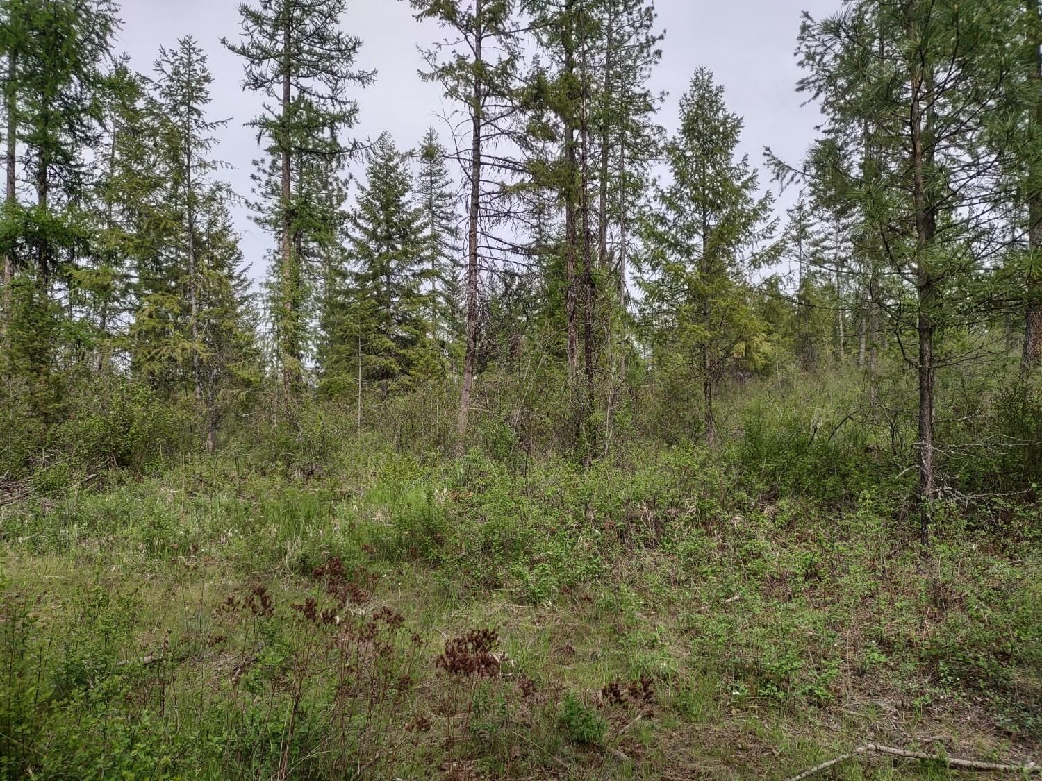X West Jump Off Road, Unit LOT 1 61 45 ACRES Valley, WA 99181 - Photo 5 of 10
