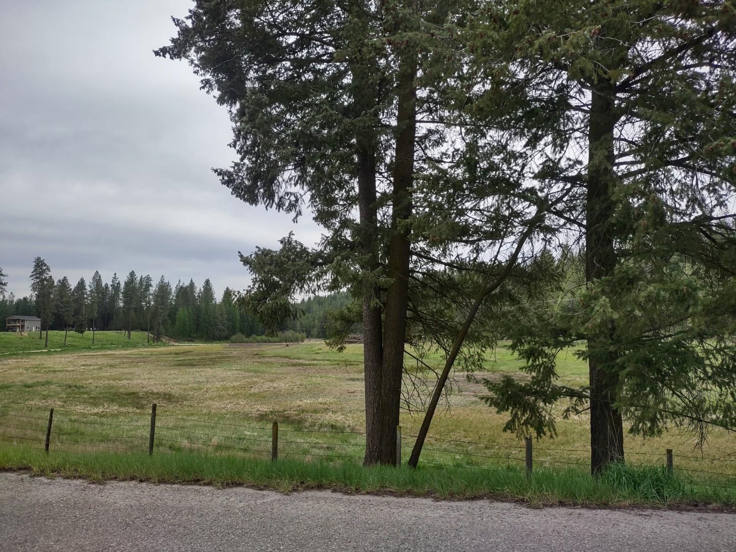 X West Jump Off Road, Unit LOT 1 61 45 ACRES Valley, WA 99181 - Photo 7 of 10
