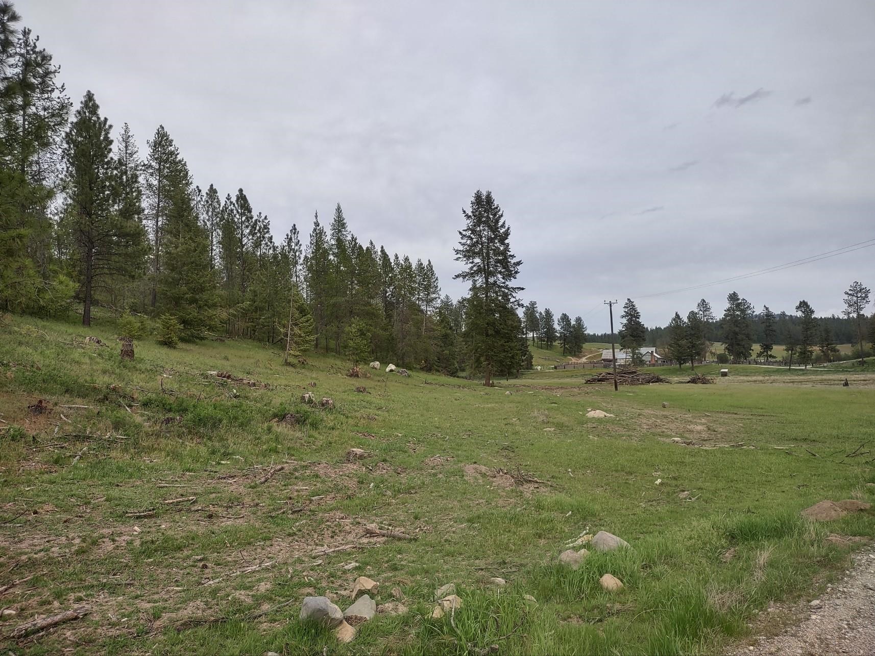 X West Jump Off Road, Unit LOT 1 61 45 ACRES Valley, WA 99181 - Photo 9 of 10