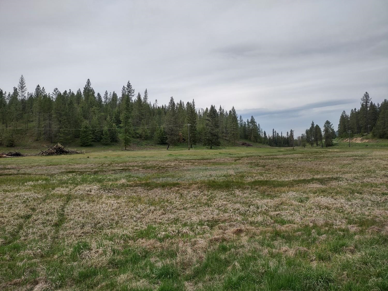 X West Jump Off Road, Unit LOT 1 61 45 ACRES Valley, WA 99181 - Photo 10 of 10